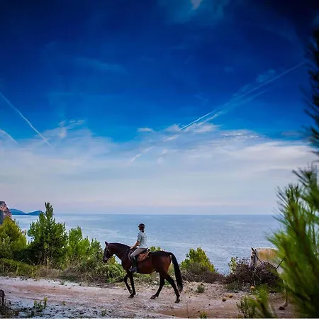 Semesterbostad Croatia *